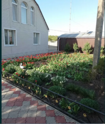 ������ ������� � �. �������� � �������������� ���� 7