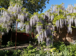 Продам будинок на Великій Балці у Кропивницькому фото 3 Продам будинок на Великій Балці у Кропивницькому фото 3