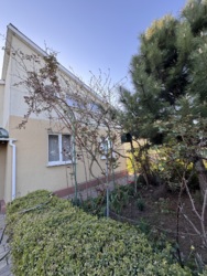 ������ ������� �������� (ϳ������) � �. ������������� ���� 9