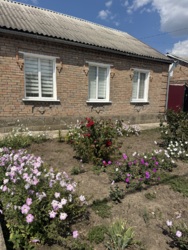 ������ ������� �� ������������ � �. ������������� ���� 12