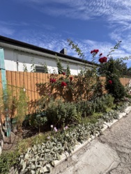 ������ �������� ������� �� ������������� � �. ������������� ���� 11