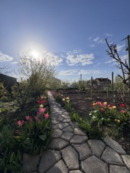 ������ ������� �������� (ϳ������) � �. ������������� ���� 11