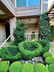 Продається будинок Одеська, Одеса, Пересипський фото 3 Продається будинок Одеська, Одеса, Пересипський фото 3