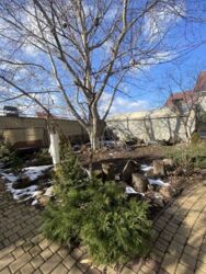 Продам дом в Червоном Хуторе. фото 3 Продам дом в Червоном Хуторе. фото 3