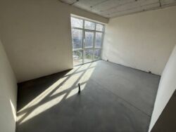 ��������� ������� ������, 61, ���, ����������, �. �������� ���� 8