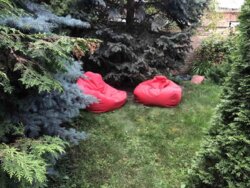 ��������� ������� ���������, ��� ���� 5