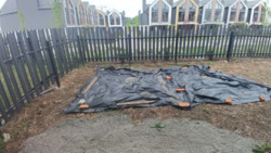 ��������� ������� �.�������������, 55, ���������, ����-�������������, ������� ���� 15