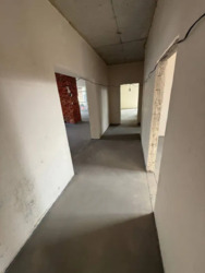 ��������� ������� ������, 61, ���, ����������, �. �������� ���� 13