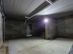 ��������� ������� �.�������������, 55, ���������, ����-�������������, ������� ���� 11