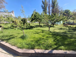 Продажа Коттеджу.Каменской район пгт..Днепровское(КПК), Каменской район пгт..Днепровское(КПК) фото 23 Продажа Коттеджу.Каменской район пгт..Днепровское(КПК), Каменской район пгт..Днепровское(КПК) фото 23