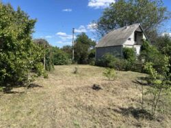 Продам дачу 6 соток с. Миколаївка (СТ Мрія) фото 5 Продам дачу 6 соток с. Миколаївка (СТ Мрія) фото 5