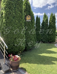 ������ ������� � ������������� ����������� , � ������� SPA ���������� , ������ ,��� , ����� , ����� 414�2. ���� ���� ,� ������ ������� ���� 16