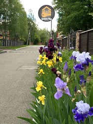 PARK HOUSE � ��������� ���������� � ��������� ���������� ������� � �. ���� ���� 38