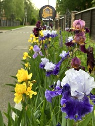 PARK HOUSE � ��������� ���������� � ��������� ���������� ������� � �. ���� ���� 28