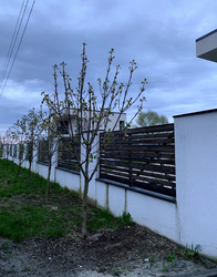 🏡 Ексклюзив: Продаж ультрасучасного котеджу в с. Гора (Бориспільський район)! фото 23 🏡 Ексклюзив: Продаж ультрасучасного котеджу в с. Гора (Бориспільський район)! фото 23
