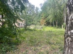 Продаж дачі під реконструкцію, сосновий ліс, 300м.до води фото 4 Продаж дачі під реконструкцію, сосновий ліс, 300м.до води фото 4