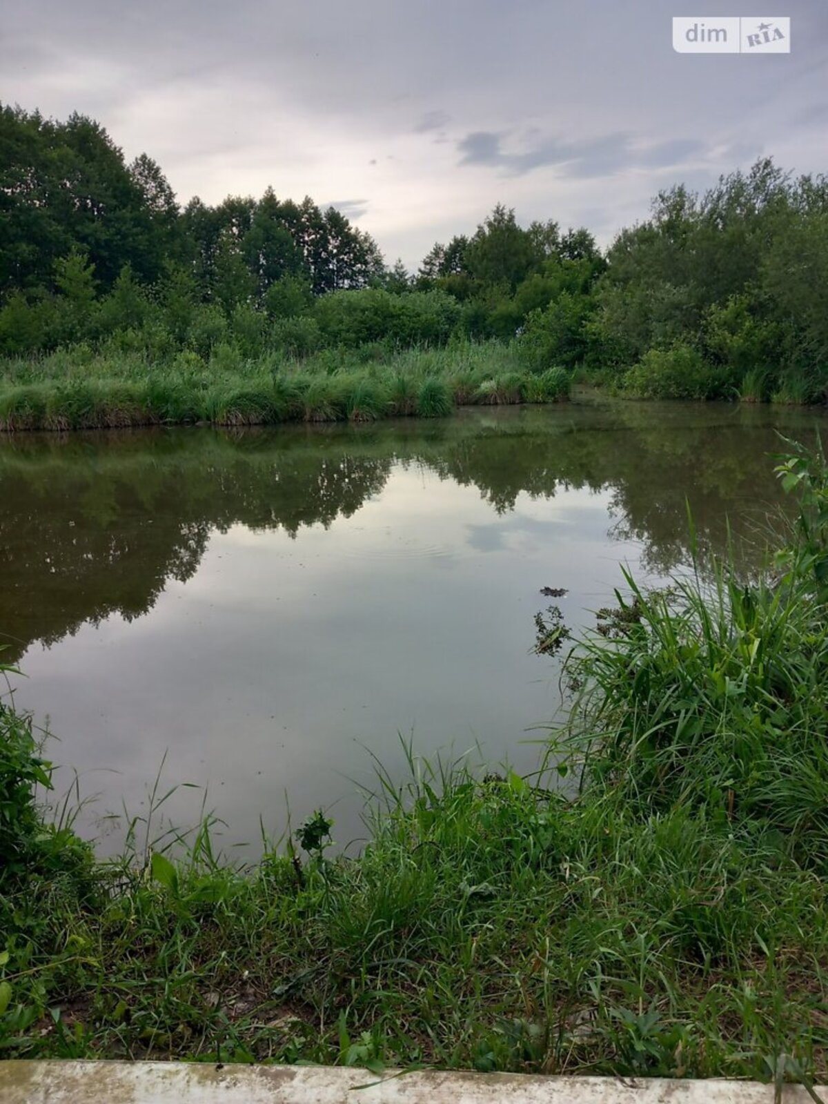 ��������� ������� ³�������, ³�����, ���������, ��������, ������ ���� 1