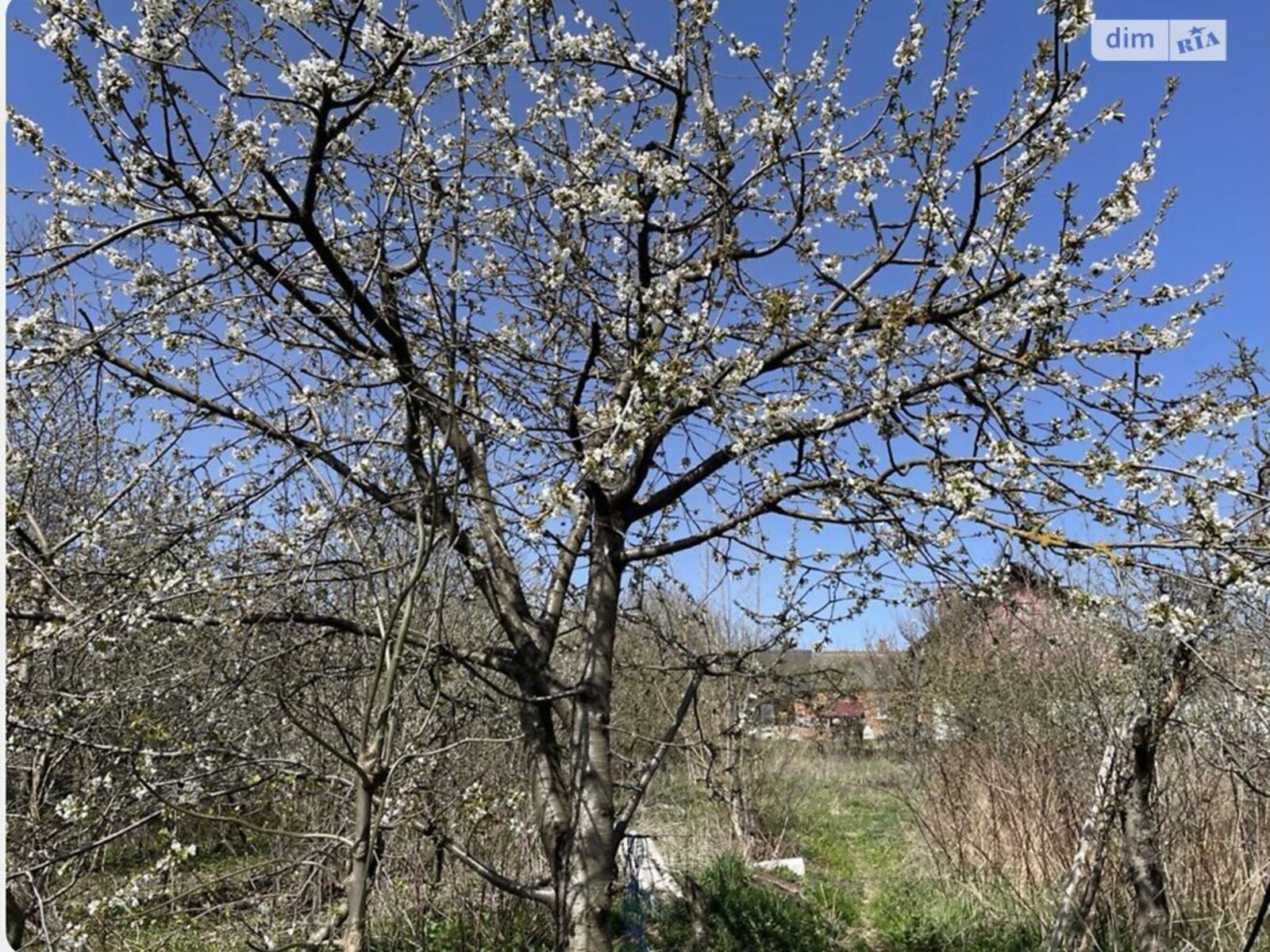 Продається будинок Вінницька, Вінниця, Передмістя, Лука-Мелешківська фото 1 Продається будинок Вінницька, Вінниця, Передмістя, Лука-Мелешківська фото 1