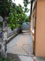 ��������� ������� �������� ������, ³�����, ³�������, �����������, ����� ���� ���� 5