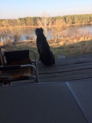 ��������� ������� ³�����, ³������� ���� 6