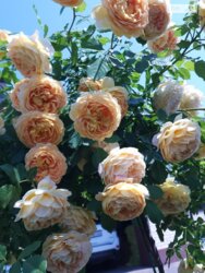   ³, ³, , ³ , , 78  19