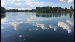 ��������� ������� ³�����, ³������� ���� 8