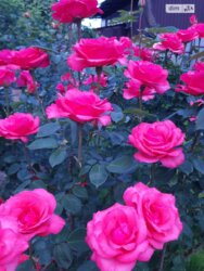   ³, ³, , ³ , , 78  20