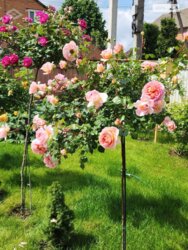   ³, ³, , ³ , , 78  4