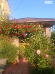 ��������� ������� ³�������, ³�����, ���������, ����� ������ ���� 3