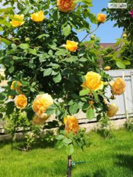   ³, ³, , ³ , , 78  18