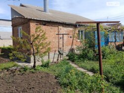 ��������� ������� ³�������, ³�����, �����������, ����� (��� ������), ������� ����� ���� 5