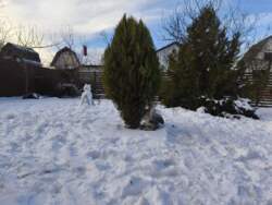 ��������� ������� � ������ � ������� ����� ��� ���'���� ���� 19