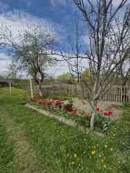 Продається будинок під реконсструкцію в с. Березівка. фото 7 Продається будинок під реконсструкцію в с. Березівка. фото 7