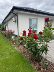 Продаж сучасного будинку в с.Станишівка. фото 8 Продаж сучасного будинку в с.Станишівка. фото 8