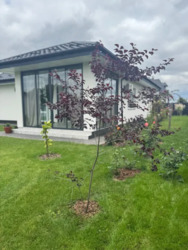 Продаж сучасного будинку в с.Станишівка. фото 9 Продаж сучасного будинку в с.Станишівка. фото 9