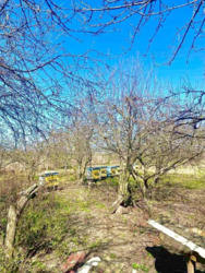Продається будинок в с. Старий Солотвин. фото 21 Продається будинок в с. Старий Солотвин. фото 21