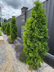 Продаж сучасного будинку в с.Станишівка. фото 4 Продаж сучасного будинку в с.Станишівка. фото 4