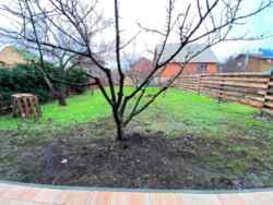 Продається будинок Новое Бугово, Чорноморськ (Іллічівськ), Одеська фото 16 Продається будинок Новое Бугово, Чорноморськ (Іллічівськ), Одеська фото 16