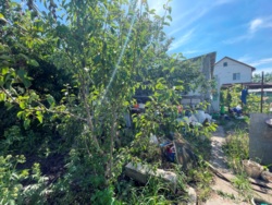 Продаж земельної ділянки з садовим будинком біля моря в м.Чорноморськ! фото 9 Продаж земельної ділянки з садовим будинком біля моря в м.Чорноморськ! фото 9