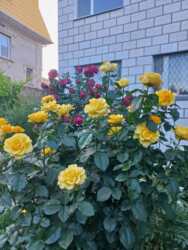 Продаж великого 2 поверхового будинку з басейном у с.Молодіжне! фото 2 Продаж великого 2 поверхового будинку з басейном у с.Молодіжне! фото 2