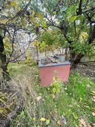 ������ ������� � �������� ������������ ! ���� 13