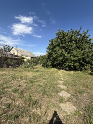 ��������� ������� ������������, ����������� (���������), ������� ���� 19