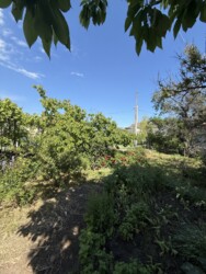 ��������� ������� ������������, ����������� (���������), ������� ���� 16