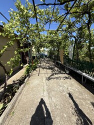 ��������� ������� ������������, ����������� (���������), ������� ���� 3