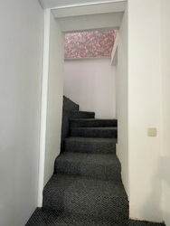 ��������� ������� �������, ����������� (���������), ����������� (���������) ���� 8