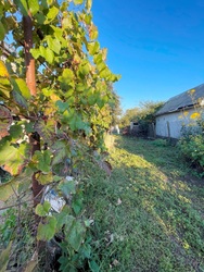 ��������� ������� �������, ����������� (���������), ����� ���� 10