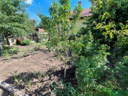 Продаж земельної ділянки з садовим будинком біля моря в м.Чорноморськ! фото 8 Продаж земельної ділянки з садовим будинком біля моря в м.Чорноморськ! фото 8