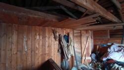 ������ ������� �������� �� ������ ���� �������� (�����������) ���� 17