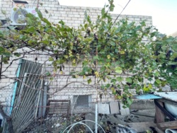 ��������� ������� �������, ����������� (���������), ����� ���� 13