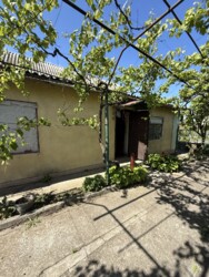 ��������� ������� ������������, ����������� (���������), ������� ���� 1